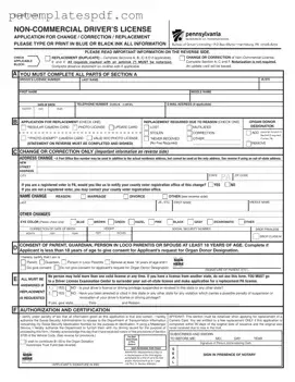 Dl 80 Pennsylvania PDF Form