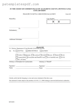 Pennsylvania 243 PDF Form